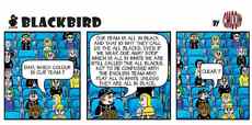 Weekly comic strip entitled Blackbird